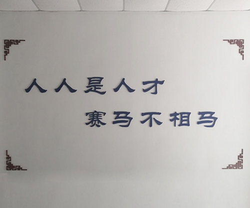 企业展示